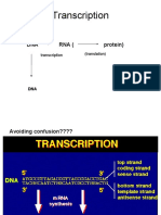Transcription: DNA Rna (Protein)