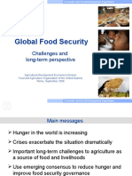 Global Food Security: Challenges and Long-Term Perspective
