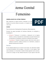 Sistema Genital Femenino