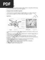 Cell Structure and Organisation | PDF | Endoplasmic Reticulum | Cell ...