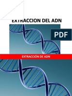 Extracción ADN casera