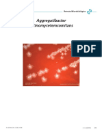 Aggregatibacter.pdf