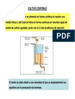 Clase 7 - Cultivo Continuo