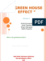 The Greenhouse Effect