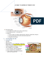 1. GIẢI PHẪU SINH LÍ MẮT-đã chuyển đổi