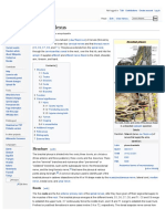 Brachial Plexus PDF