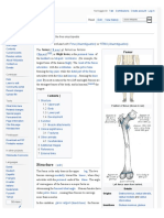 Femur PDF