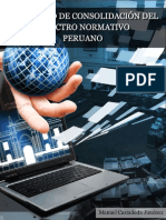 Procesoconsolidacionespectronormativoperuano PDF