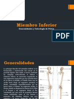 Miembro Inferior: Generalidades y Osteología de Pelvis