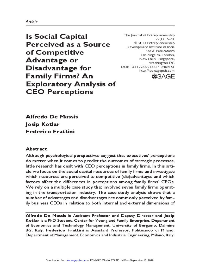 Is Social Capital Perceived As A Source of Competitive Advantage or ...