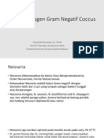 Bakteri Patogen Gram Negatif Coccus