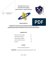 1602642357732_perfil del proyecto 2020 (1).pdf