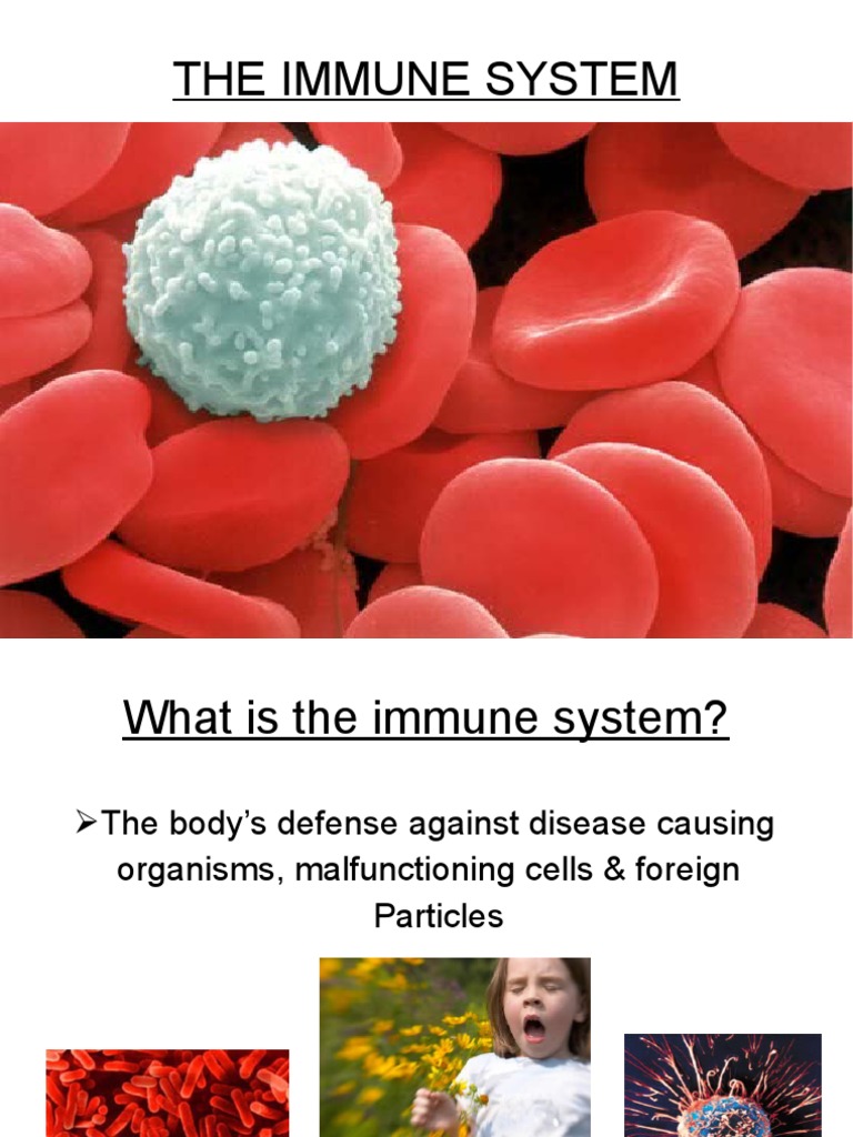 Understanding the Immune System Basics | PDF | Immune System | Humoral ...