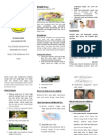 Leaflet Gout Arthritis