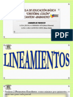 LINEAMIENTOS DE PROYECTO.pdf