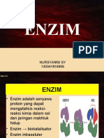 ENZIM.ppt