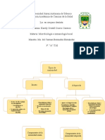 Mapas Conceptual - Tipos de Inmunidad