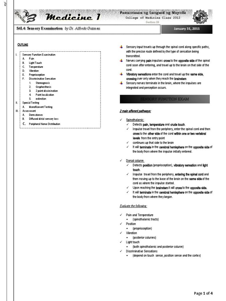 By Dr. Alfredo Guzman PDF Somatosensory System Nerve