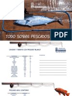 Recetario Sobre Pescados