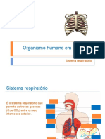 Sistema Respiratório2020