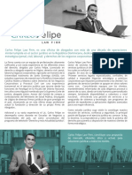 One Page Carlos Felipe Law Firm