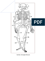 tulang.pdf