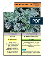 Planta Medicinal - Ajenjo - Biología y Geoogía