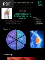 Anatomía de La Mama | PDF | Pecho | Anatomía humana