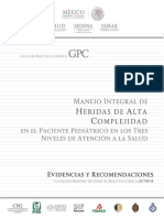 Manejo Integral de Heridas de Alta Complejidad en El Paciente Pediátrico en Los Tres Niveles de Atención A La Salud