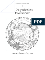 El Decrecimiento Ecofeminista - Amaia Perez Orozco