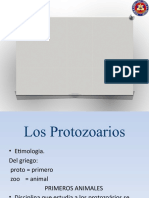 243394065-Protozoarios-Power-Point.pptx