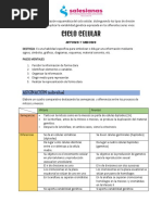 Cuadro Comparativo Entre Mitosis y Meiosis - Jimena Castro - 10a PDF