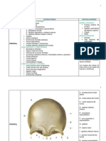 Guias de Osteologia Medicina - Revisado Ii