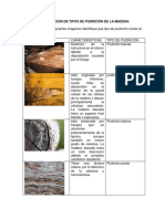 Gisela Ramirez Lopez - TALLER IDENTIFICACIÓN DE TIPOS DE PUDRICIÓN DE LA MADERA PDF