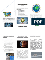 La Contaminación Ambiental