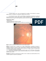 Neuro-oftalmologia-2011.pdf