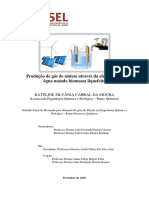 Dissertação PDF