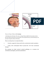 There Are 3 Layers of Tissue Called Meninges