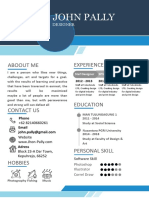 Professional Resume For Designer-WPS Office