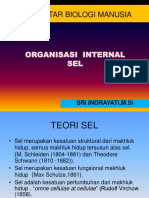 Pengantar Biologi Manusia: Organisasi Internal SEL