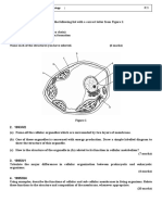 Hkale Biology - 2 The Cytology