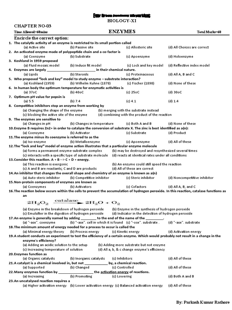 Enzymes BiologyXi Chapter No03 Encircle The Correct Option PDF Active Site Enzyme