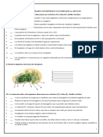 GUIA-ACTIVIDADES-FOTOSINTESIS-desarrollada.docx