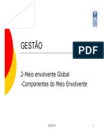 IGO - Envolventes organizacionais.pdf