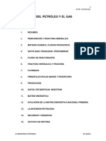 La Industria Del Petroleo y El Gas v1