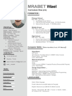 Mrabet: Formation: Curriculum Vitae (CV)