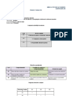 Proiect de Lectie - Mirica Alexandru, 8205, AR