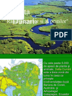 Proiect Biologie - Delta Dunarii