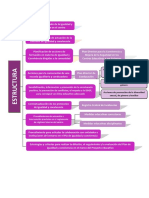 Estructura Pla Igualtat Convivencia Cas PDF