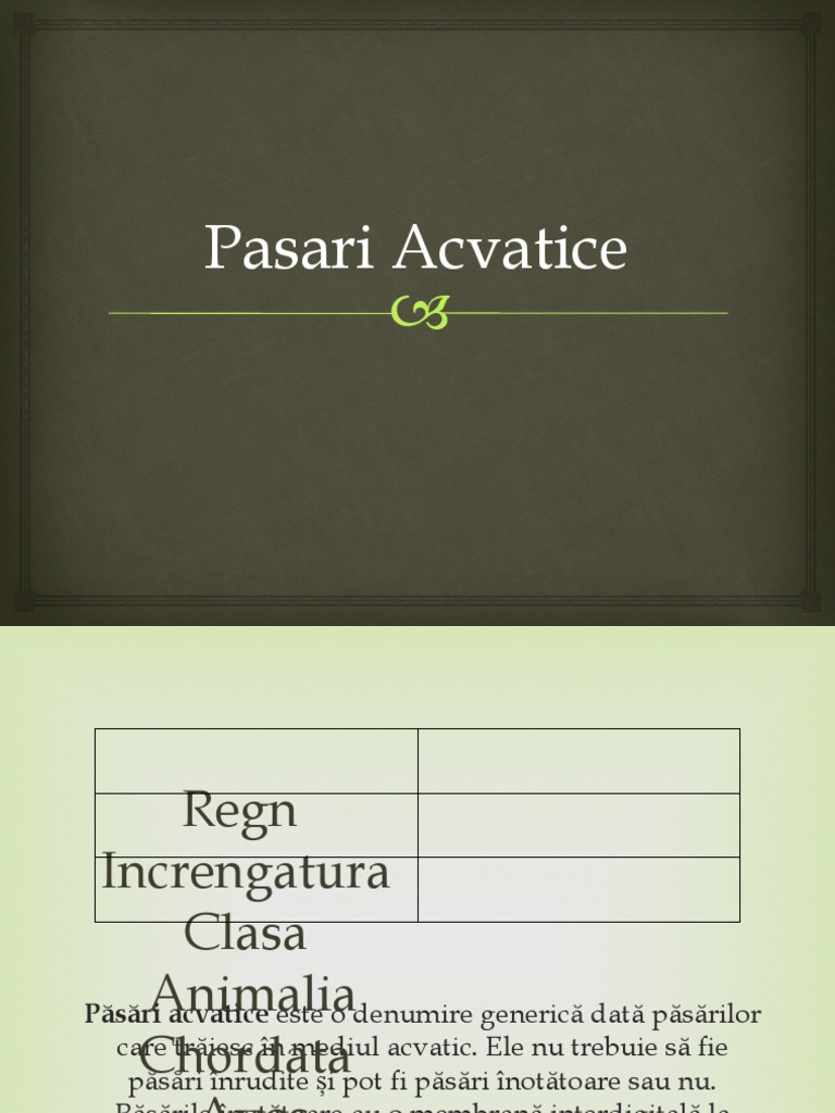 Pasari Inotatoare | PDF